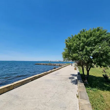 При Тони Πομόριε